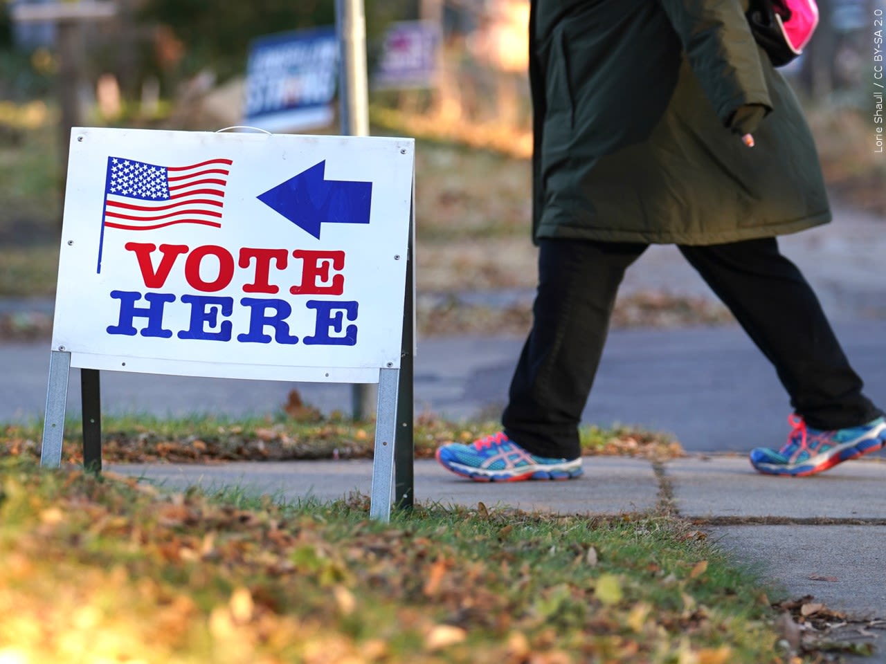 Tennessee election officials asking more than 14,000 voters to prove citizenship - WBBJ TV