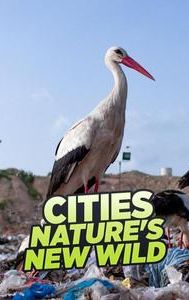 Cities: Nature's New Wild