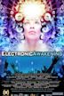 Electronic Awakening