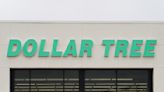 The $1 “Beautiful” Dollar Tree Gem People Are Buying in Bulk for Summer