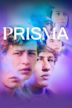 Prisma