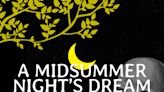 A Midsummer Night's Dream... with a twist! in Off-Off-Broadway at Brooklyn Art Haus 2024