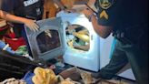 Florida shooting suspect arrested after deputies found him 'folded' inside dryer