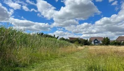 The beautiful Essex park with riverside views that no one knows about