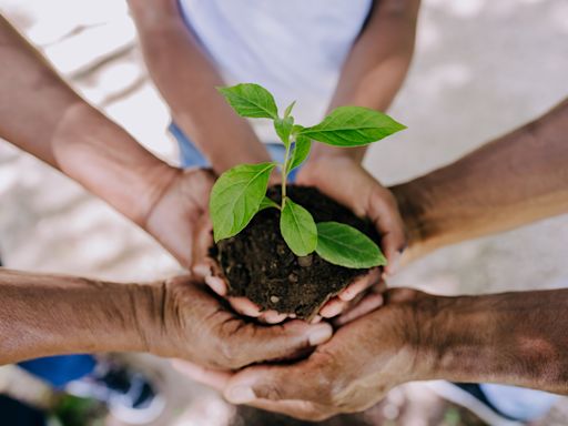 ¿Por qué se celebra el Día Mundial del Medio Ambiente y cuándo es?