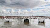 San Joaquin Valley farmers dig in for the next battle: an epic Sierra snowmelt