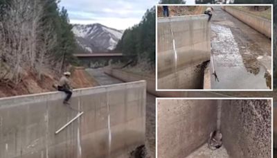 Wildlife officer saves two young mountain lions trapped in spillway in dramatic rescue: video