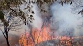 ¿Chivas vs. Toluca en riesgo? Incendio forestal en Zapopan a horas del inicio de la liguilla