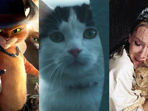 Día del gato: los 10 felinos más icónicos de la pantalla (y dónde verlos) - La Tercera