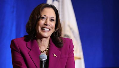 Meme queen? What coconut trees and lime green mean for Kamala Harris’ presidential campaign