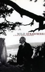 Wild Strawberries