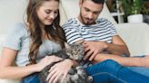 Difference in way cat behaves with dad compared to mom delights internet