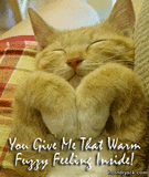 th_WarmFuzzyFeelingCat.gif