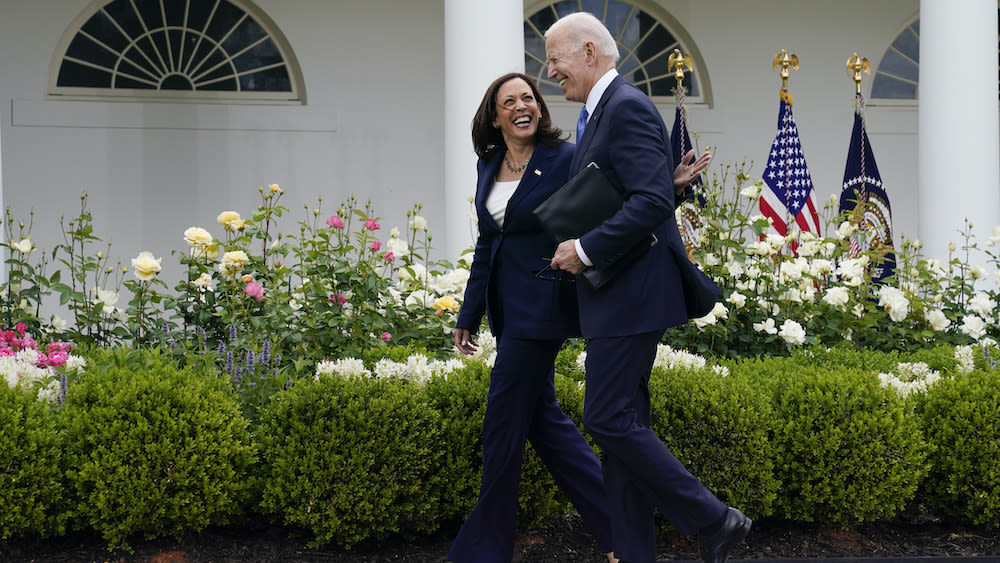 VP Harris or mini primary? Democrats split over succession if Biden steps aside