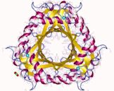 6-carboxytetrahydropterin synthase