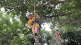中市大秀國小攀樹課程 從不同視角發現世界