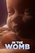 In the Womb