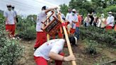 跟神明健走做公益！北台慶典「迎尪公巡田園」報名倒數