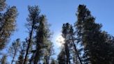 Forest Service fixing decades-old blunder in Black Hills