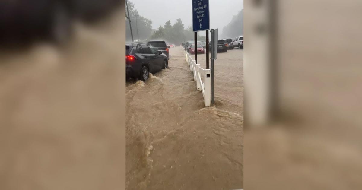 Flash flooding hits Dollywood theme park following heavy rain