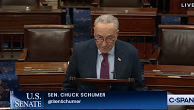 Schumer to Invite Netanyahu to Address Congress After Calling for His Ouster