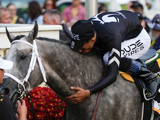 Preakness Stakes: Seize the Grey, el potrillo de los 2570 dueños, el jockey que vivía en un auto y el cuidador récord de 88 años