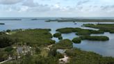 Will a resort rise on this Florida island? Or a preserve? It comes down to a $25M deal