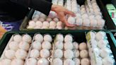 蛋價近2年新低 加速淘汰寡產母雞