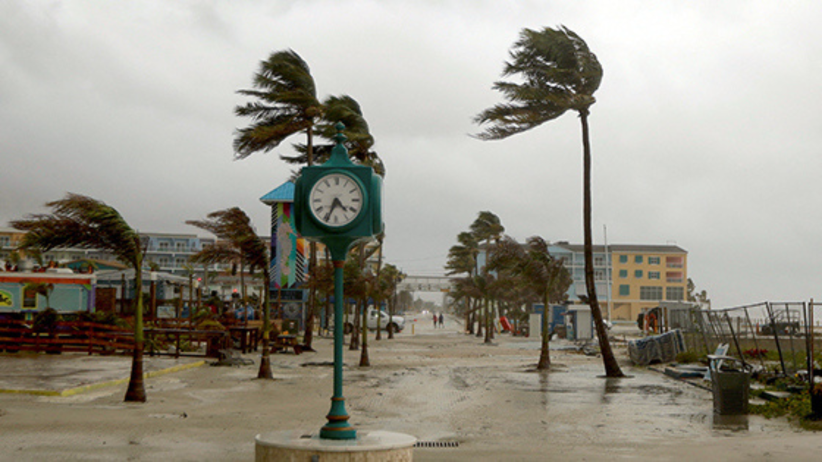 Hurricane Debby makes landfall in Fla., Harris secures delegates for Democratic nomination, Noah Lyles wins ‘closest’ 100m final