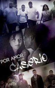 For Love in the Casiero