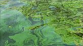 Water conditions in the Caloosahatchee River warrant a fourth blue-green algae warning