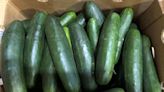 CDC: Salmonella Outbreak Linked to Cucumbers