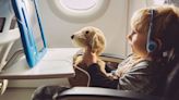 Flight Attendants Want You To Know This Before Flying With Little Kids