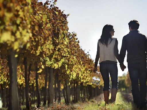 Turismo del vino: gran expectativa por las Jornadas Nacionales