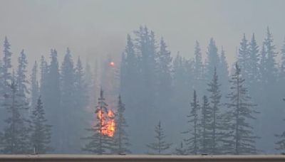 Canada: les images impressionnantes du feu de forêt qui a éclaté dans un parc national