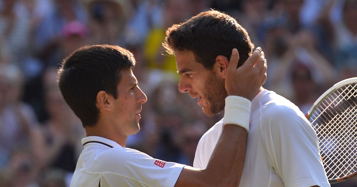 Novak Djokovic's class shines as Serb fulfils Juan Martin del Potro's dream