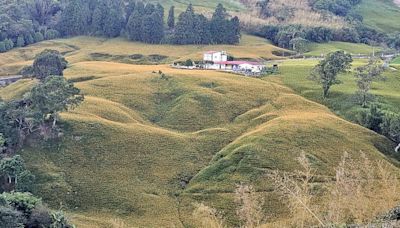 後山小調∕金針花海環繞的鄉村農舍 | 蕃新聞