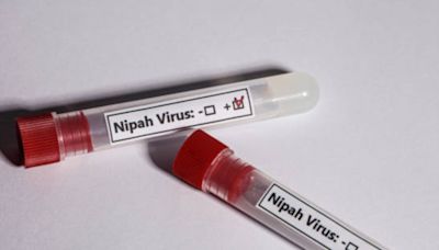 Kerala Nipah Virus Outbreak: 2 More On Deceased Boy's Contact List Test Negative; Nurse Booked For Violating Quarantine