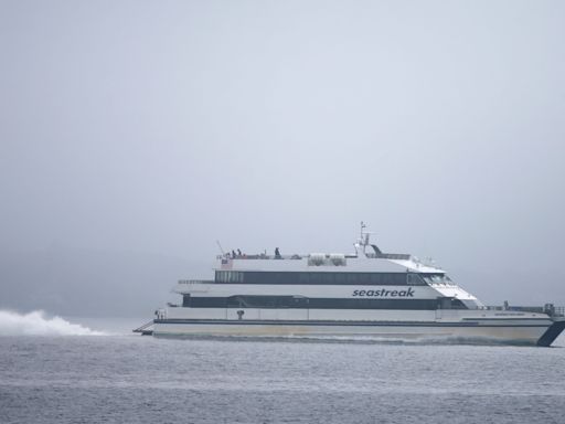 Seastreak ferry business thrives at New Bedford's pier. It's making its case to the state