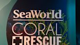 SeaWorld opens new coral center to help save the endangered marine creatures