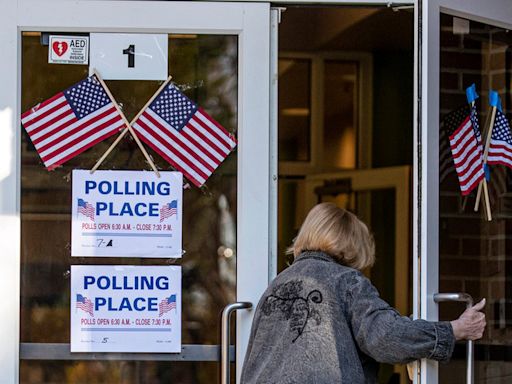 2024 Virginia Primary Election Guide: Here's everything you need to know