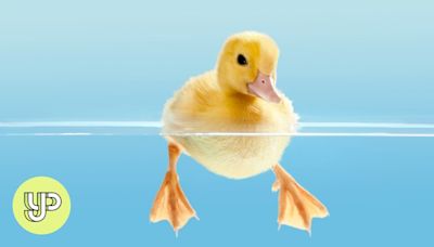 What is ‘duck syndrome’ and how can it affect your mental health?