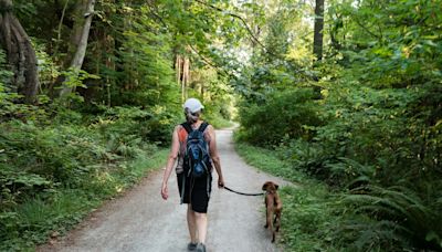 Elle passe un mois à l'hôpital après une simple promenade avec ses chiens