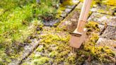 Remove patio moss for good with expert’s game-changing item - needs no scrubbing