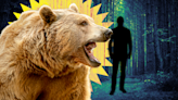 What Does It Mean to 'Choose the Bear'?