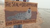 Protestors take to sea demanding end to sewage pollution