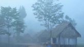 Nuevo friaje golpea la Selva Sur: Senamhi advierte que se espera temperaturas mínimas de 14 °C