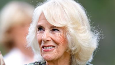 ...After Meeting a Teenage Prince William for the First Time, Then Camilla Parker-Bowles Quipped “I Need a Gin and Tonic,” Royal...