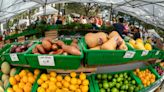 A guide to the best farmers markets, green markets in Palm Beach County