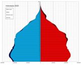 Demographics of Indonesia